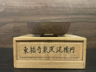 初代平安東福寺 ｜ 鉢専門の盆栽ネットワーク・ジャパン