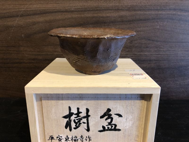 豊富な人気SALE鉢　小鉢　盆栽鉢　平安東福寺　初代　釉薬鉢 鉢